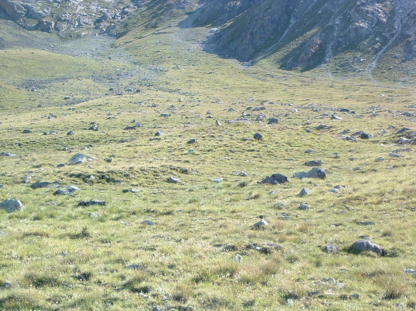 DSCF0033.JPG