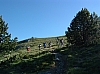 DSCF0020.JPG DSCF0020.JPG