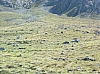 DSCF0033.JPG DSCF0033.JPG