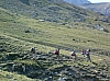 DSCF0034.JPG DSCF0034.JPG
