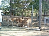 dscf0018.jpg