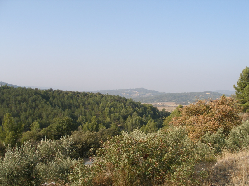 PA140003.JPG