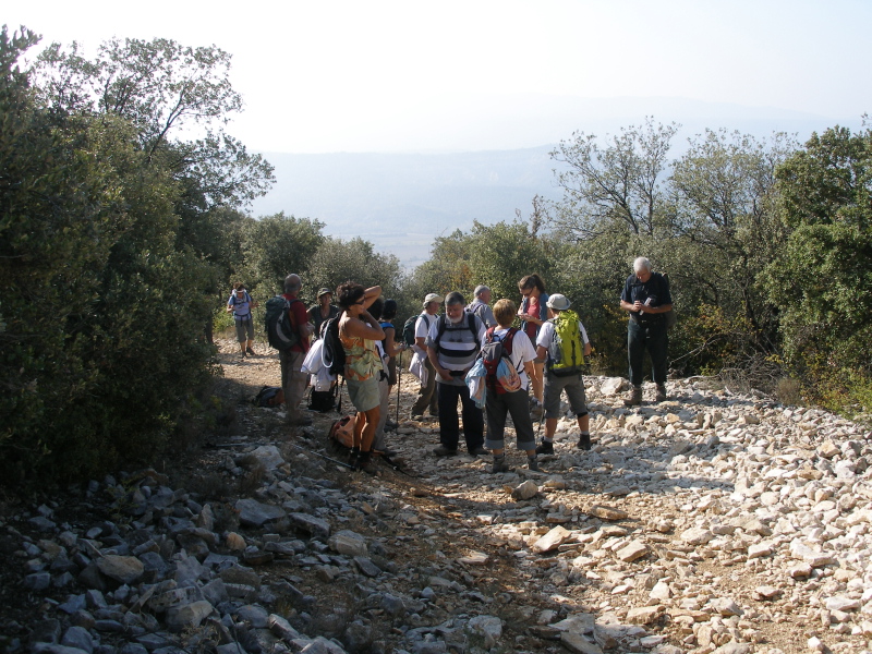 PA140007.JPG