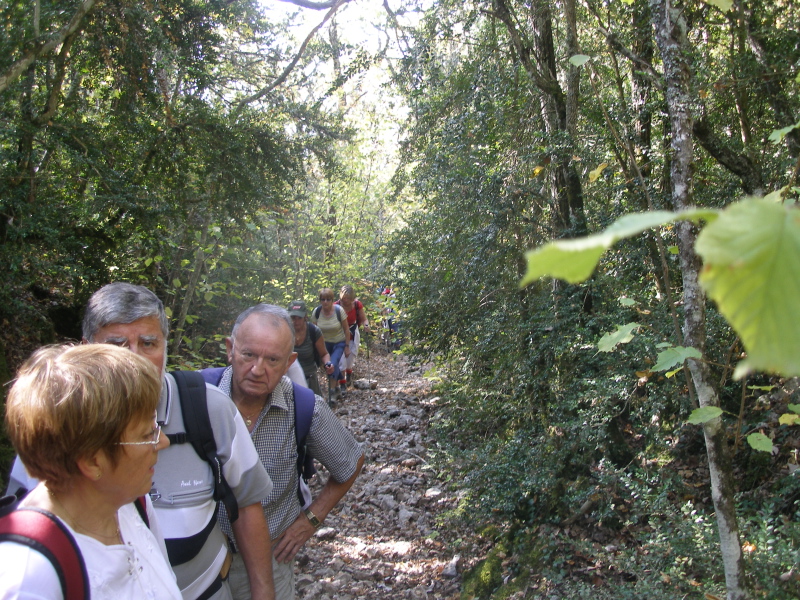 PA140008.JPG