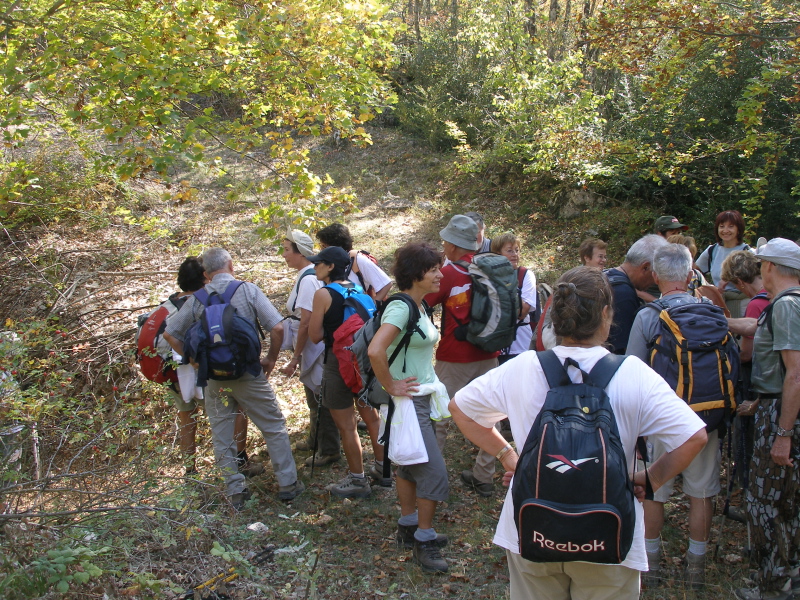 PA140014.JPG