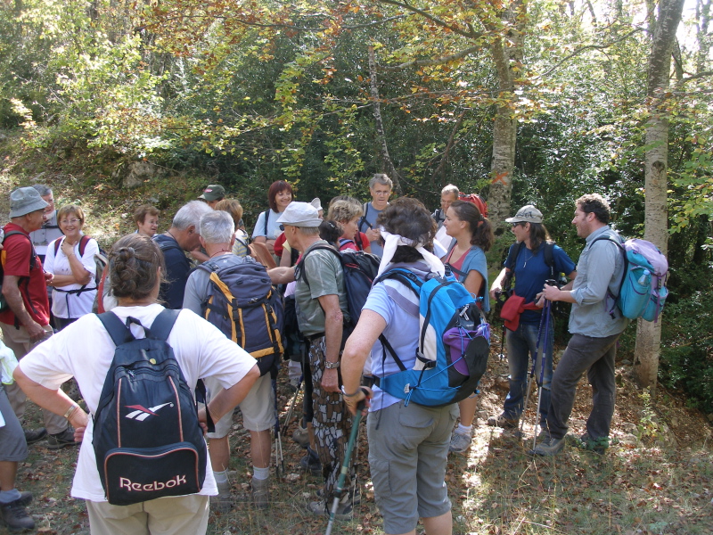 PA140015.JPG