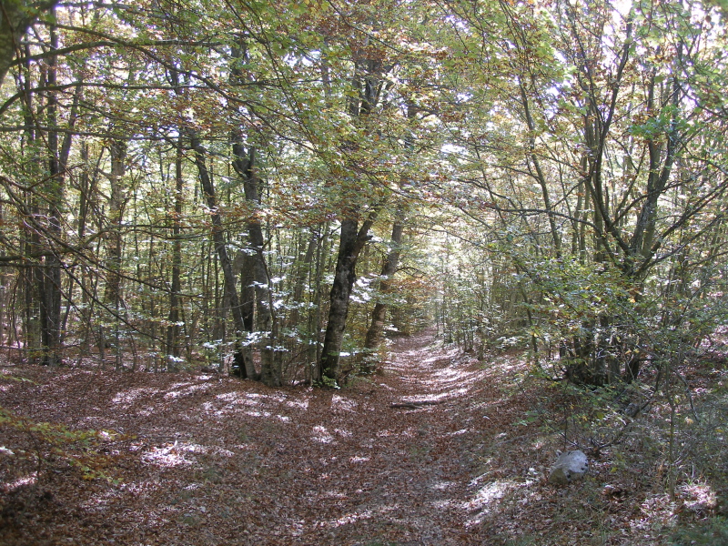 PA140020.JPG