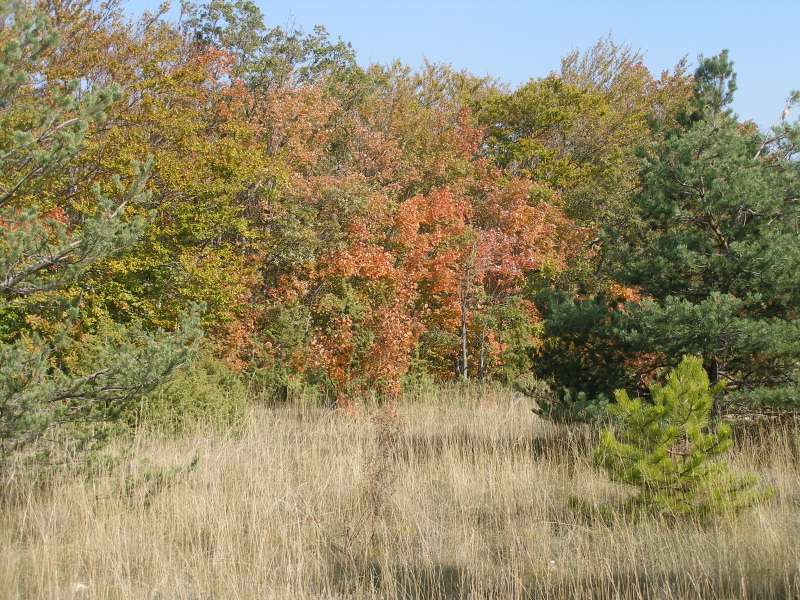 PA140023.JPG
