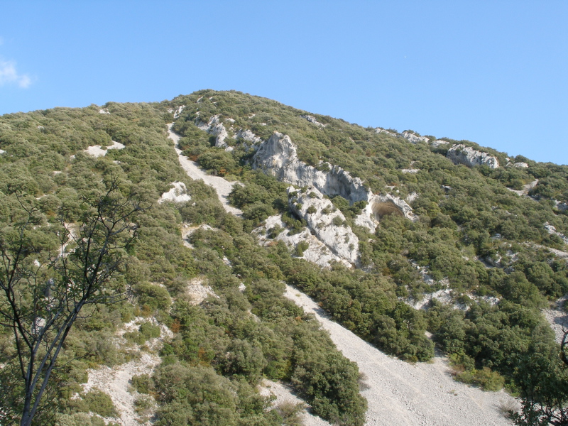 PA140029.JPG