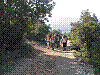 PA140006.JPG