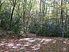 PA140013.JPG