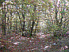 PA140020.JPG