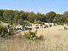 PA140021.JPG