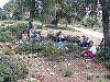 P9160029.JPG