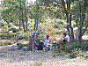 P9160032.JPG